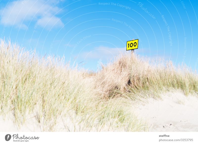 100 Natur Landschaft Himmel Sommer Schönes Wetter Erholung Stranddüne Dünengras Meer Schilder & Markierungen Farbfoto Außenaufnahme Menschenleer
