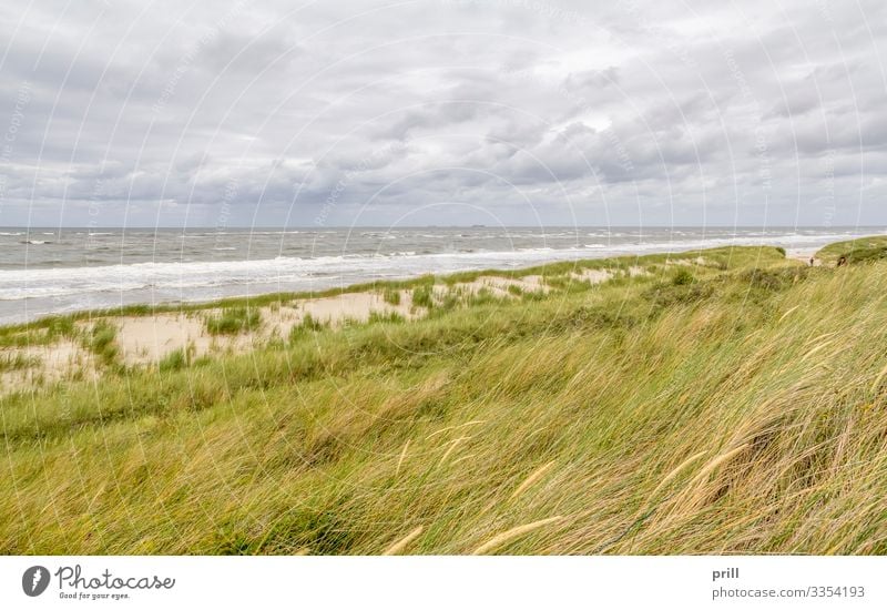 coastal scenery at Spiekeroog Erholung Sommer Strand Meer Insel Wellen Natur Landschaft Sand Wasser Küste Nordsee authentisch Ostfriesland Landkreis Friesland
