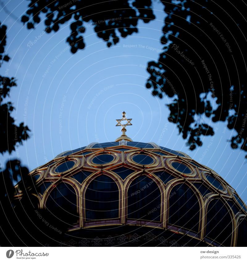 Tuet auf die Pforten Stadt Hauptstadt Stadtzentrum Bauwerk Gebäude Architektur Synagoge Dach Kuppeldach Sehenswürdigkeit Wahrzeichen Dekoration & Verzierung