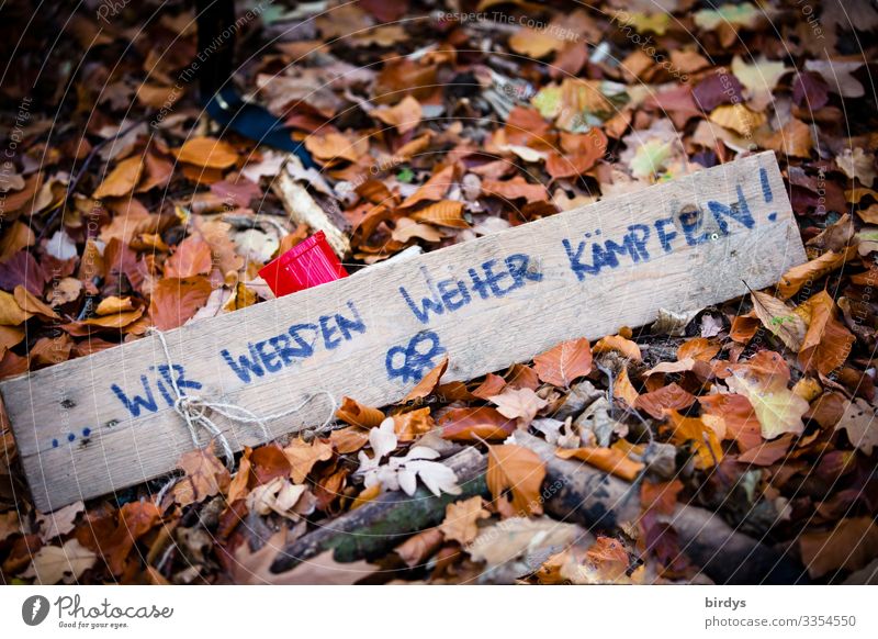 Kampfansage Natur Herbst Klimawandel Herbstlaub Waldboden Holz Zeichen Schriftzeichen Hinweisschild Warnschild kämpfen Konflikt & Streit authentisch bedrohlich