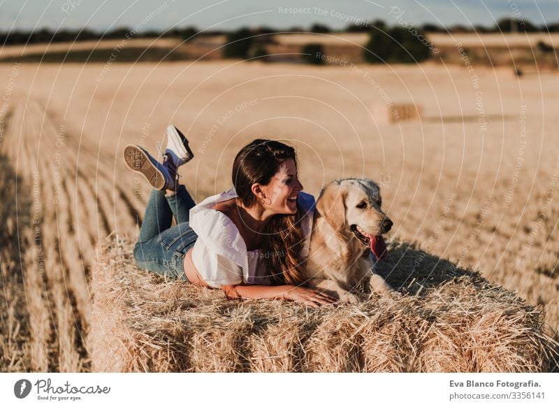 junge schöne Frau, die bei Sonnenuntergang mit ihrem Golden Retriever-Hund auf einem gelben Feld spazieren geht. Natur und Lebensstil im Freien Sommer Mode