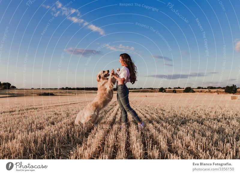 junge schöne Frau, die bei Sonnenuntergang mit ihrem Golden Retriever-Hund auf einem gelben Feld spazieren geht. Natur und Lebensstil im Freien Sommer Mode