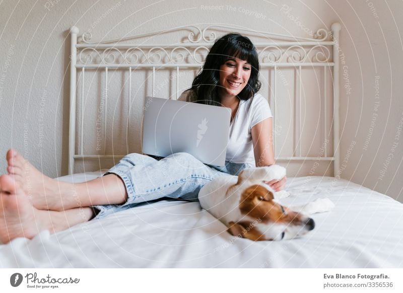 junge kaukasische Frau im Bett, die am Laptop arbeitet. Süßer kleiner Hund liegt daneben. Liebe zu Tieren und Technologiekonzept. Lebensstil im Haus