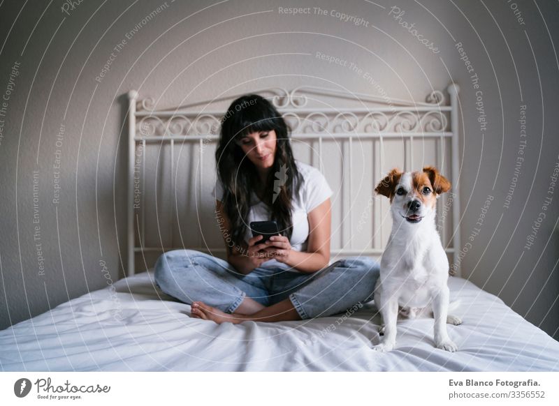 junge kaukasische Frau im Bett, die mit dem Handy telefoniert. Süßer kleiner Hund liegt daneben. Liebe zu Tieren und Technologiekonzept. Lebensstil im Haus
