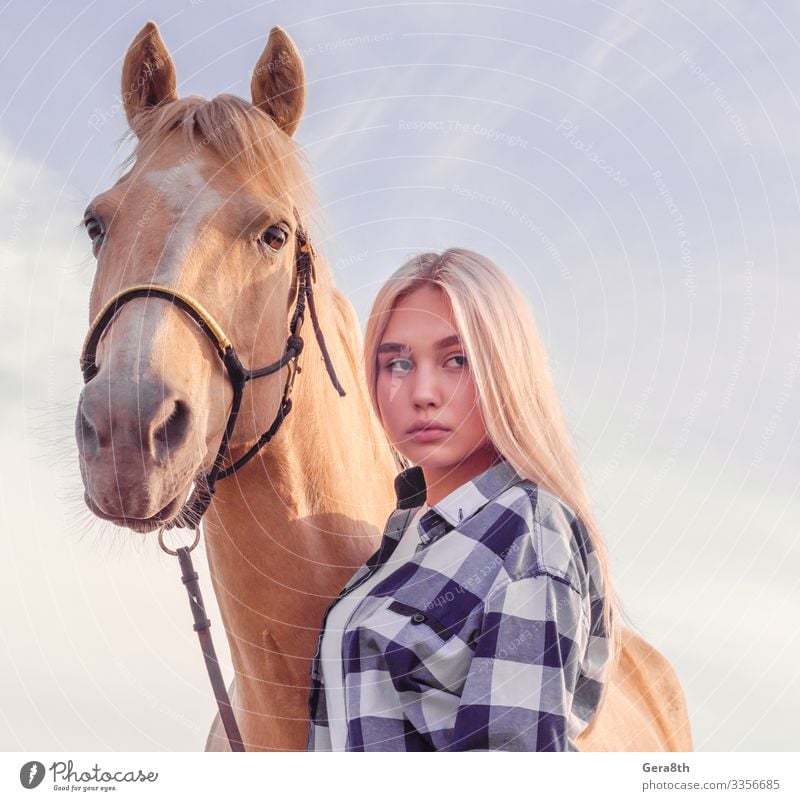 das Porträt eines jungen blonden Mädchens mit einem beigen Pferd auf der Ranch Stil schön Gesicht Sommer Frau Erwachsene Freundschaft Tier Himmel Dorf