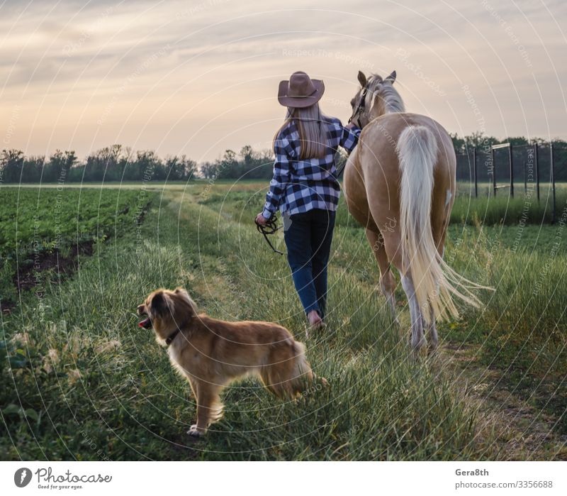 junges blondes Mädchen mit Hut und kariertem Hemd geht mit einem Pferd spazieren Stil Sommer Frau Erwachsene Freundschaft Natur Landschaft Pflanze Tier Himmel