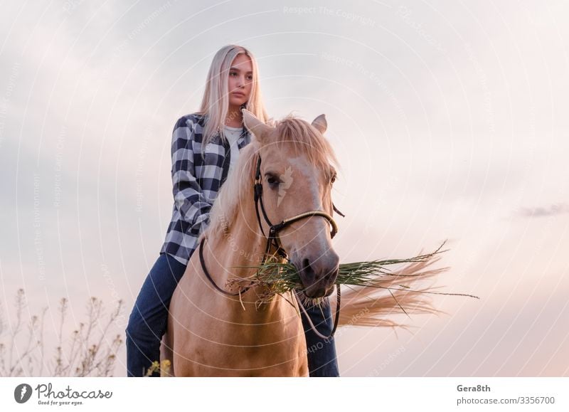 Ein junges blondes Mädchen sitzt auf einem Pferd auf der Ranch Stil Gesicht Sommer Frau Erwachsene Freundschaft Natur Tier Himmel Dorf Bekleidung Hemd Jeanshose