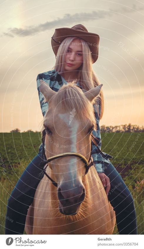 Mädchen mit Cowboyhut und blauen Jeans sitzt auf einem Pferd Stil Sommer Mensch Frau Erwachsene Natur Pflanze Tier Himmel Gras Wiese Dorf Bekleidung Hemd