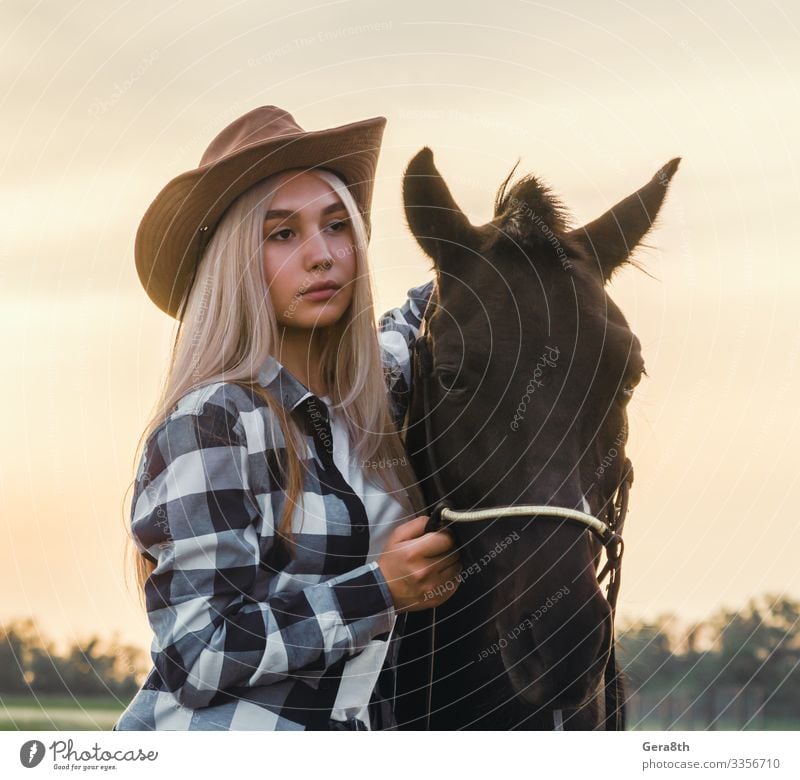 Mädchen mit Cowboyhut und Pferd bei Sonnenuntergang auf der Ranch Stil Gesicht Sommer Mensch Frau Erwachsene Hand Natur Pflanze Tier Himmel Gras Wiese Dorf