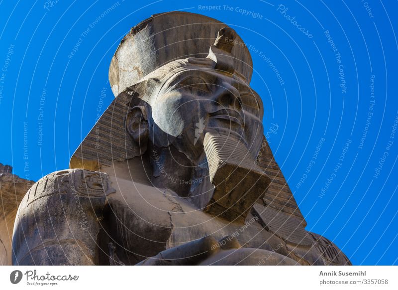 Statue Ramses II. im Karnak-Tempel in Luxor, Ägypten Ferien & Urlaub & Reisen Museum Mauer Wand Fassade Religion & Glaube africa afterlife ancient