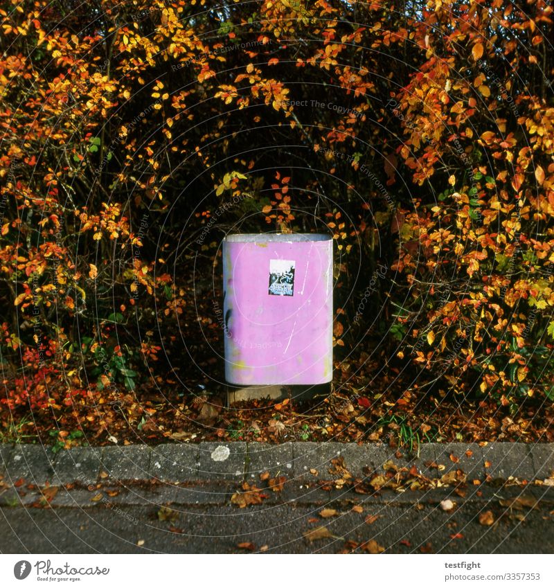 Mülleimer Öffentlich entsorgen gehweg strauch hecke herbst pink alt Graffiti