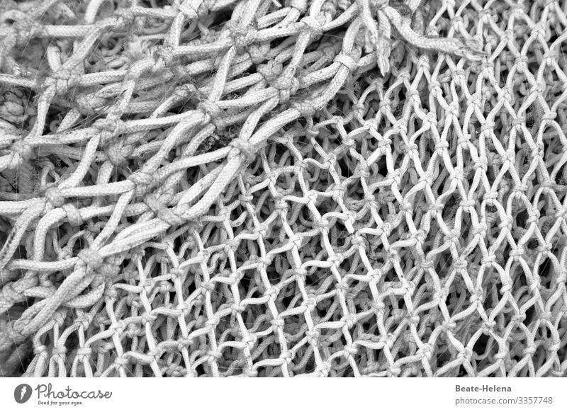 Networking: Fischernetze unterschiedlicher Knüpfung und Seilstärke Seilschaften Duchmesser Mustermix Fischereiwirtschaft Außenaufnahme Netzwerk Menschenleer