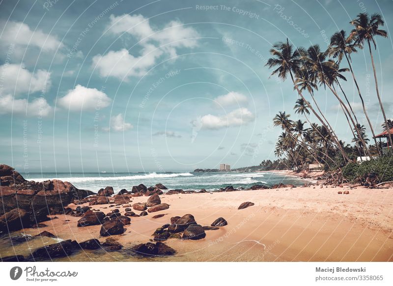 Tropischer Strand mit Felsen und Kokosnusspalmen, Sri Lanka. exotisch schön Erholung Ferien & Urlaub & Reisen Tourismus Ausflug Abenteuer Freiheit Sommer