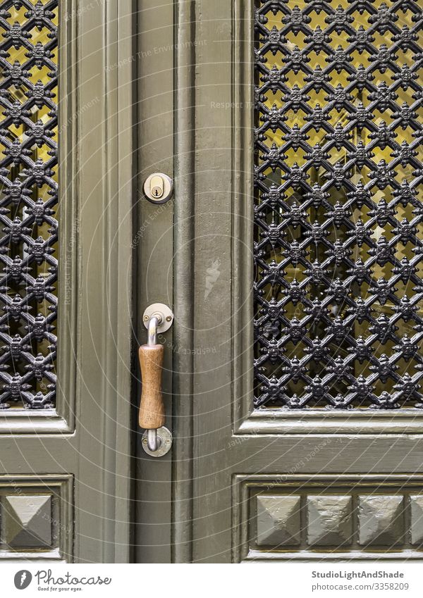 Grüne Tür mit Zierfenstern Haus Dekoration & Verzierung Gebäude Architektur Holz alt retro grün Farbe Tradition Eingang Raster ornamental olivgrün Handgriff