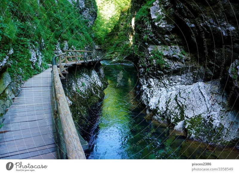 Holzweg entlang der Vintgar-Schlucht Ferien & Urlaub & Reisen Tourismus Sommer wandern Umwelt Natur Landschaft Moos Park Felsen Alpen Fluss Wasserfall Brücke