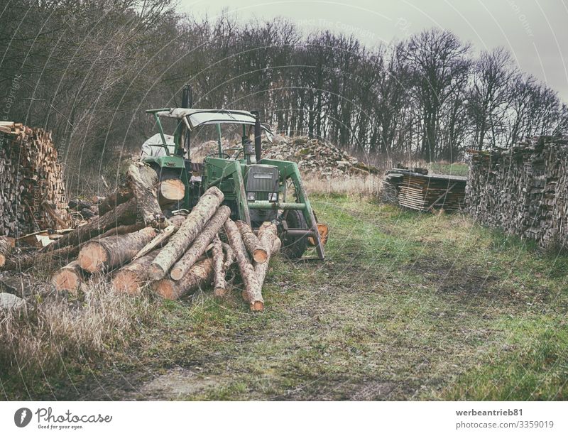 Alter deutscher Traktor auf dem Holzplatz in der Natur Landschaft Pflanze Himmel Baum Gras Wald Verkehr alt Deutsch Holzlager Brennholz Holz - Material veraltet