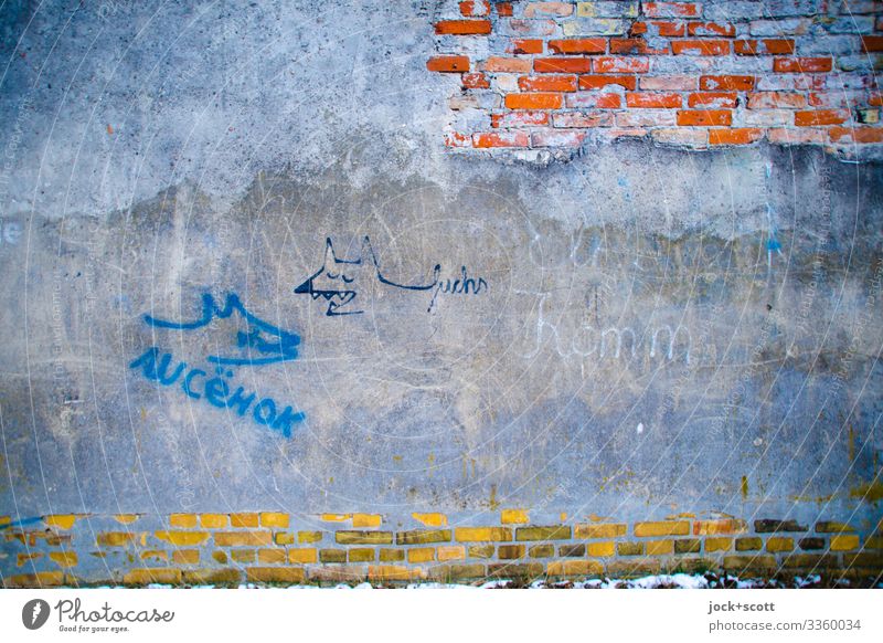 Meister Reineke Subkultur Straßenkunst Kreuzberg Mauer Backsteinwand Schriftzeichen Fuchs alt außergewöhnlich grau Inspiration Kreativität Verfall