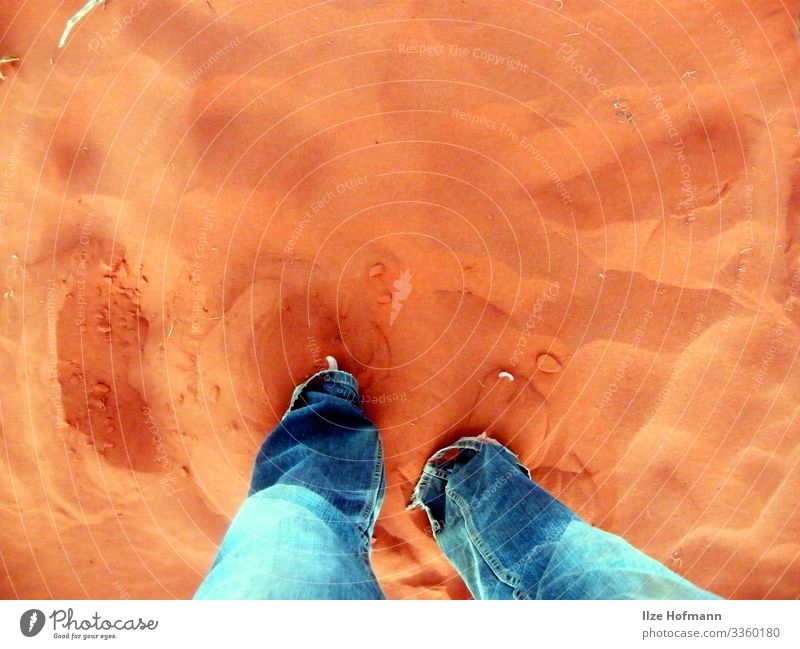 Australischer Sand Ferien & Urlaub & Reisen Abenteuer Sommer Sommerurlaub Fuß Australien Uluru Barfuß Schwimmen & Baden berühren Bewegung gehen genießen stehen