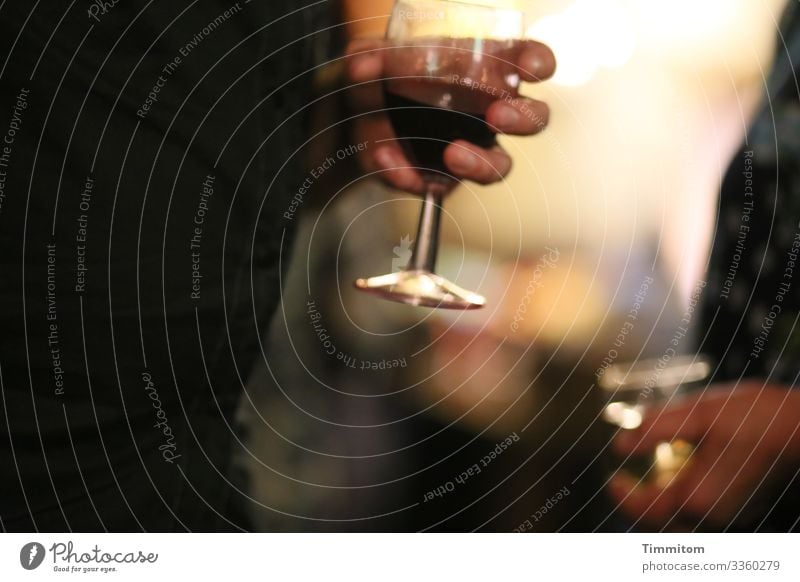 Noch ein Glas. Abend Wein Rotwein Weißwein Feier Alkohol Weinglas Farbfoto reden Licht Schatten trinken Feste & Feiern