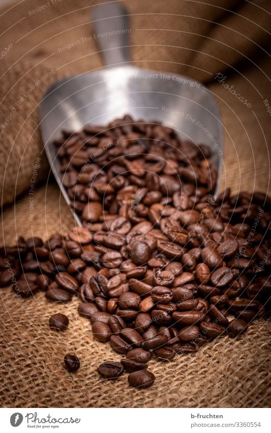 Kaffeebohnen Lebensmittel Ernährung Frühstück Heißgetränk Espresso Gesunde Ernährung Verpackung wählen gebrauchen genießen Schaufel schaufeln rösten Jutesack