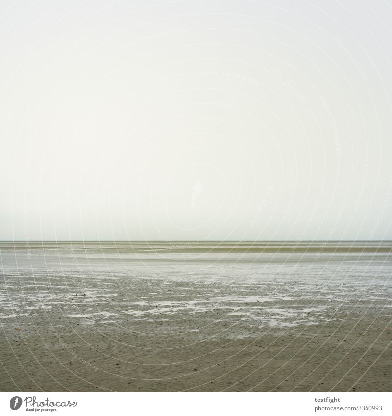 meditation strand regen bewölkt nordsee norden watt Wattenmeer feucht wasser grau ebbe zurückziehen gezeiten natur wetter klima klimawandel himmel