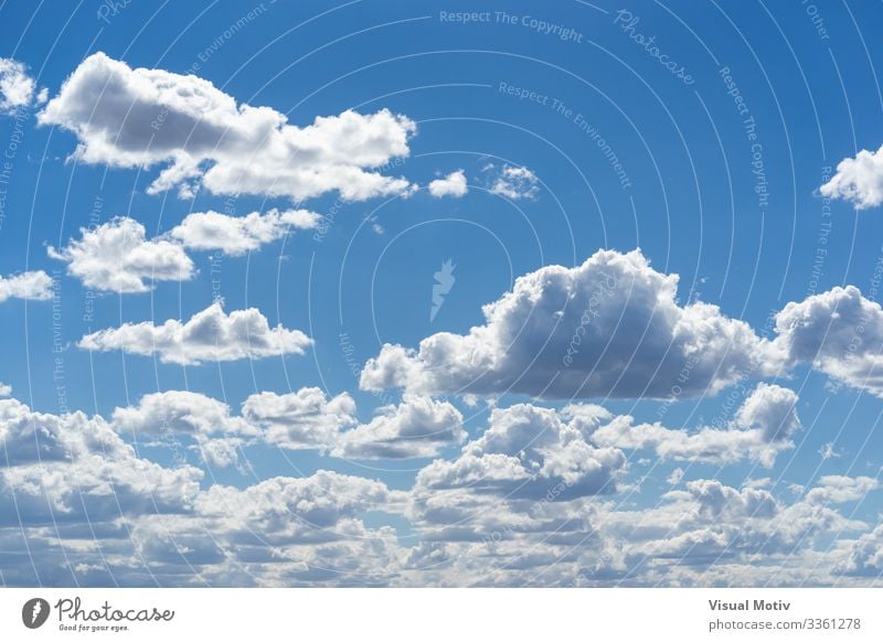 Schönwetter-Kumulus-Wolken schön Sommer Umwelt Natur Landschaft Himmel Klima Wetter hell natürlich blau weiß Farbe rein Air Blauer Himmel übersichtlich
