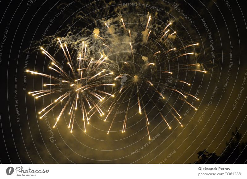 Weißes Feuerwerk in Versailles abgefeuert Glück schön Feste & Feiern dunkel schwarz Feiertag Party Hintergrund Stadtfest Licht Veranstaltung Gast Explosion