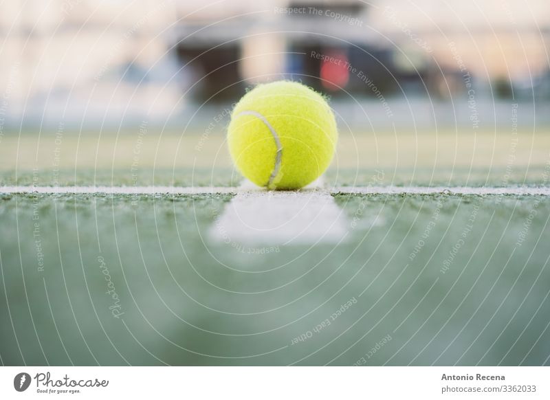 Paddel-Tennisobjekte auf dem Platz, Ball auf der Linie im Freien Erholung Freizeit & Hobby Spielen Sport ästhetisch Paddeltennis Padel Remmidemmi