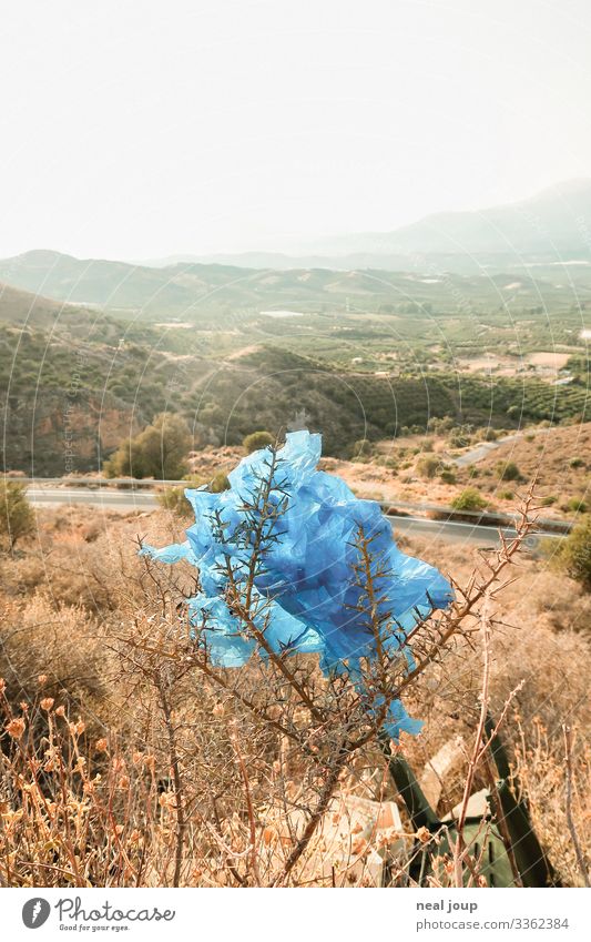 Elegantly wasted -VII- kaufen Reichtum Umwelt Natur Landschaft Sträucher Griechenland Verpackung Plastiktüte Müll Kunststoff hängen nachhaltig trashig trist