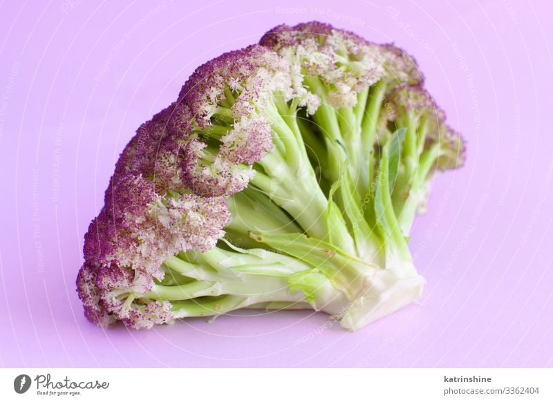 Frischer, roher, violetter Blumenkohl auf hellviolettem Hintergrund Gemüse Ernährung Vegetarische Ernährung Diät Menschengruppe frisch grün purpur Kohlgewächse
