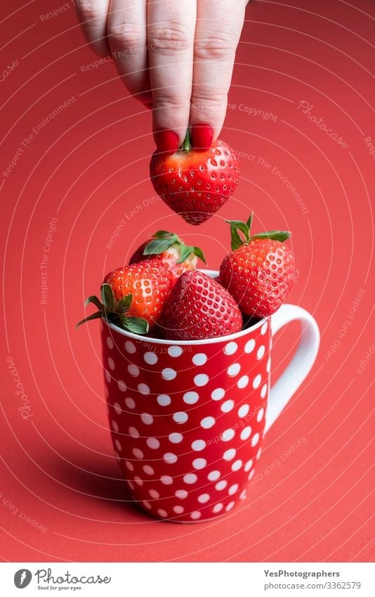 Eine reife Erdbeere von einem Haufen nehmen. Tasse Erdbeeren Lebensmittel Frucht Dessert Süßwaren Ernährung Frühstück Bioprodukte Becher Gesunde Ernährung