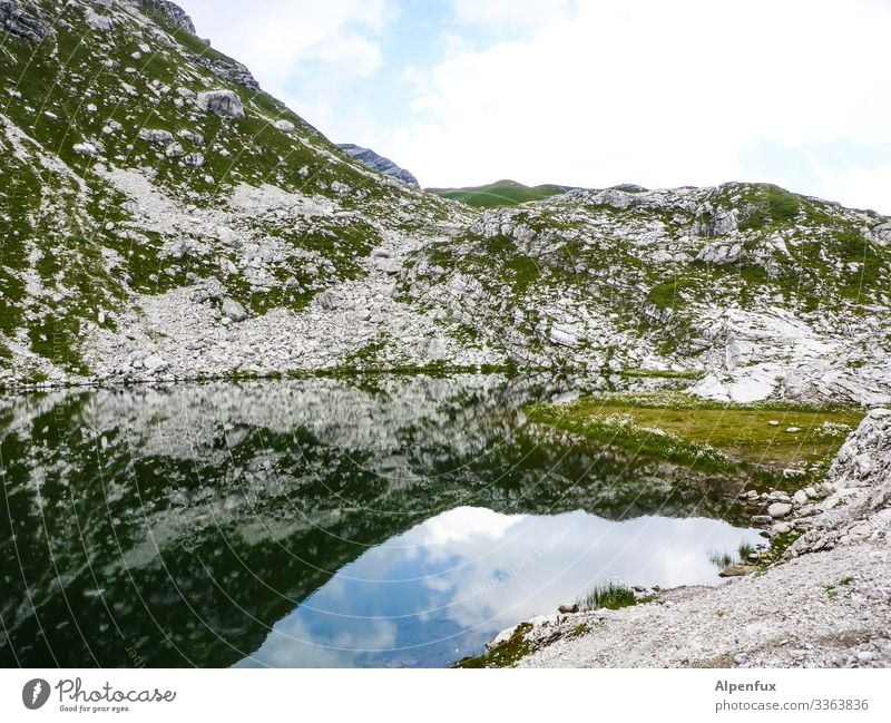 Bergsee Berge u. Gebirge See Spiegelung im Wasser Reflexion & Spiegelung Alpen Natur Außenaufnahme Landschaft Menschenleer Schönes Wetter Sommer Tag Farbfoto