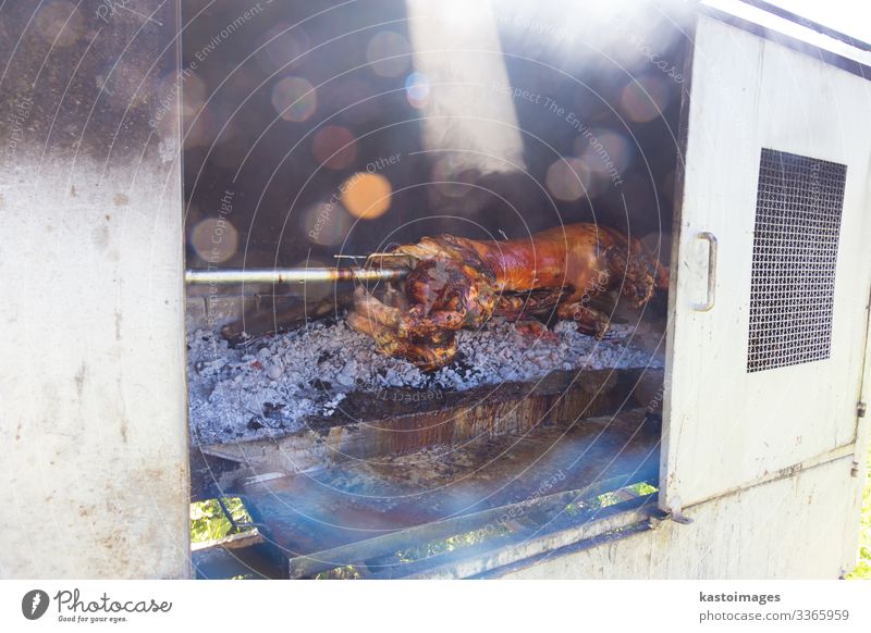 Traditionelles Balkengericht - ganzes Ferkel auf dem offenen Feuer gegrillt. Fleisch Abendessen Restaurant Tier lecker Spanferkel Hausschwein Säugling gebraten