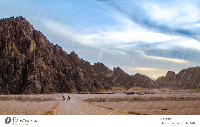 Berge in der Wüste Sharm El Sheikh Ägypten exotisch Ferien & Urlaub & Reisen Berge u. Gebirge Natur Landschaft Sand Himmel Wolken Horizont Felsen Stein laufen