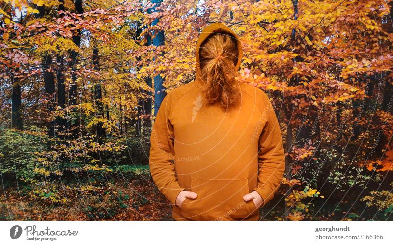 Mann hat seine langen roten Haare vor seinem Gesicht zu einem Zopf gebunden. Er hat einen braunorangen Kaputzenpullover an und steht vor einem großen Foto eines Herbstwaldes.