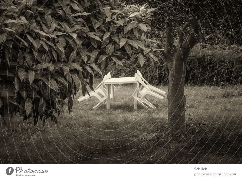Gartenstühle aus weißem Kunstoff angelehnt an Tisch auf Wiese mit Baum in schwarzweiß Essen trinken Erholung Gartenmöbel Gartenstuhl Gartentisch Stuhl Idylle