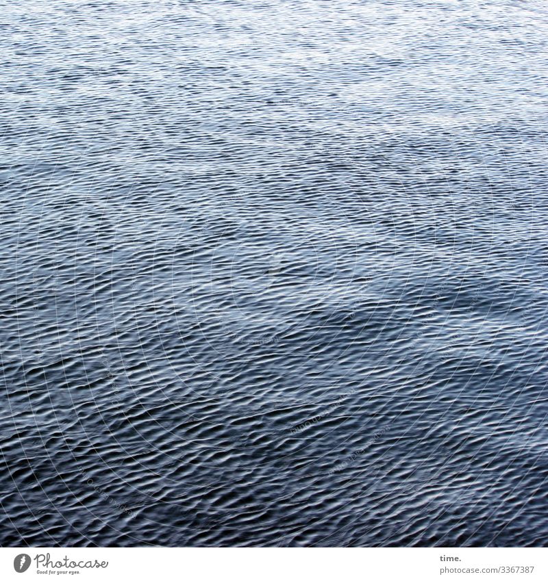 Lebenslinien #123 Umwelt Natur Wasser Wellen Ostsee Meer Linie dunkel maritim nass blau Wachsamkeit Neugier Angst Bewegung Erholung geheimnisvoll Inspiration
