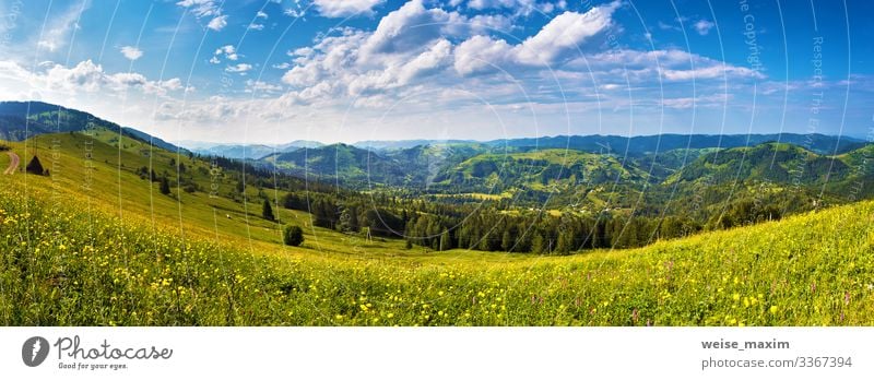 Sonniger Tag Panorama der Bergwiese Sommer Berge Sonnenlicht-Wolken Wiese Ökologie Hügel Tal Straße malerisch Licht Landschaft grün Dorf ländlich Reise Frühling
