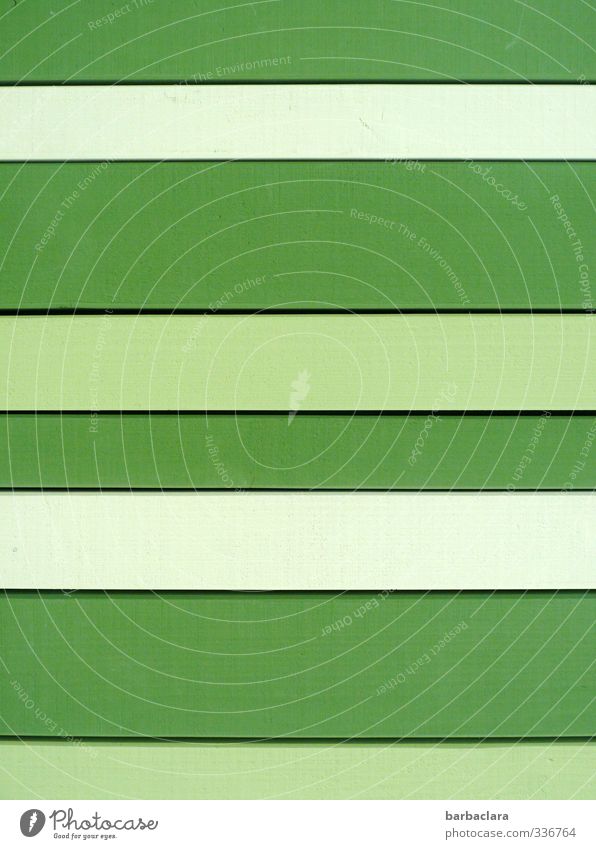 !Trash! | Happy stripes Lifestyle Häusliches Leben Haus Mauer Wand Fassade Linie Streifen Fröhlichkeit frisch hell grün Design Farbe Hoffnung Kunst Sinnesorgane
