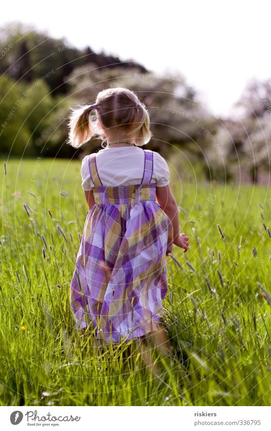 tage, wie diese... feminin Mädchen Kindheit 1 Mensch 3-8 Jahre Umwelt Natur Landschaft Frühling Sommer Schönes Wetter Wiese entdecken gehen frei Freundlichkeit