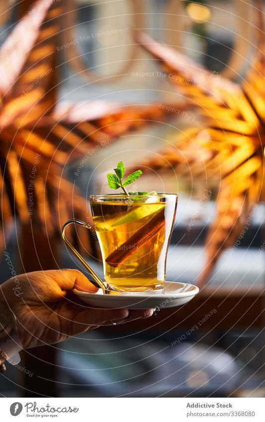 Rum-Apfel-Grog mit Anis Cocktail trinken Getränk heiß Saison Alkohol Zitrone Scheibe Zimt Bar Glas Hand Arme Abend farbenfroh Pub Restaurant Lifestyle