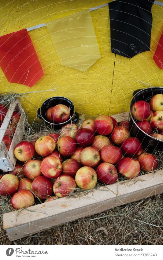Reife Äpfel in Kisten und Eimern Apfel Marktplatz frisch Frucht Kasten Verkaufswagen Werkstatt reif Ernte Gesundheit organisch Diät farbenfroh Mahlzeit Fleisch