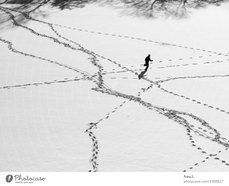 Wintersport Sport Fitness Sport-Training Joggen Fußballplatz maskulin Junge Junger Mann Jugendliche Erwachsene 1 Mensch 13-18 Jahre Schönes Wetter Schnee laufen