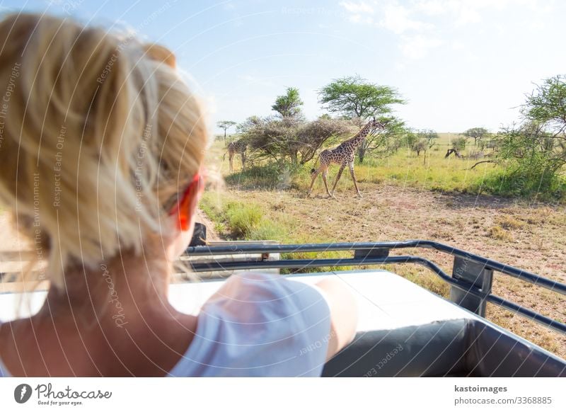 Frau auf afrikanischer Wildsafari beobachtet Giraffe Freude schön Freizeit & Hobby Ferien & Urlaub & Reisen Tourismus Ausflug Abenteuer Safari Erwachsene Natur