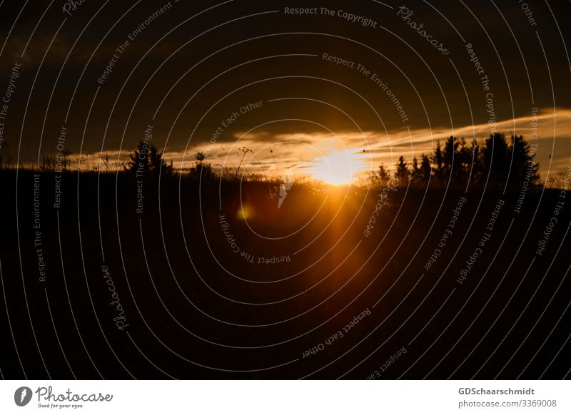 Sonnenuntergang Landschaft Himmel Wolken Sonnenaufgang Sonnenlicht Wärme Baum Feld Hügel fantastisch Unendlichkeit natürlich positiv schön braun orange schwarz