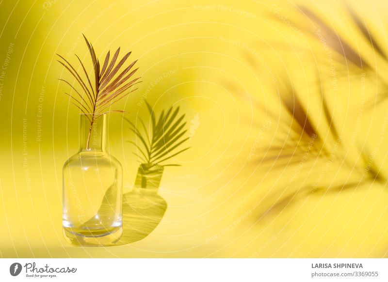 Goldenes Palmenblatt in Glasvase auf gelbem Hintergrund. elegant Stil Design exotisch schön Sommer Dekoration & Verzierung Tisch Tapete Natur Pflanze Baum Blume