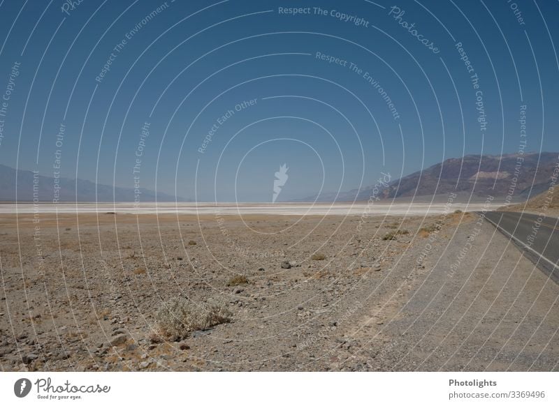 Death Valley - USA Ferien & Urlaub & Reisen Ferne Umwelt Natur Landschaft Tier Erde Sand Himmel Wolkenloser Himmel Horizont Klima Wärme Dürre Wüste Mojave