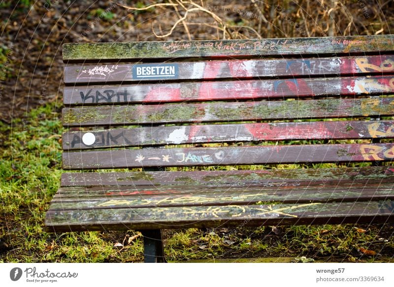 Aufforderung zum verweilen Park Bank Parkbank Holz Schilder & Markierungen Graffiti frei mehrfarbig grün ruhig Gartenbank Sitzgelegenheit leer Etikett besetzen