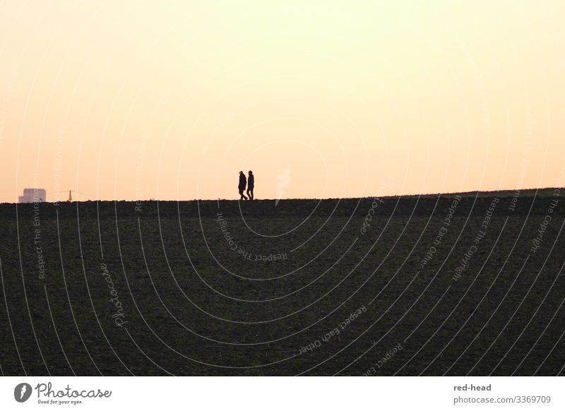 2 Personen im Profil beim Abendspaziergang im Sonnenuntergang - Horizont in der Bildmitte - 2 Farbflächen Mensch Freundschaft Paar Landschaft Wolkenloser Himmel