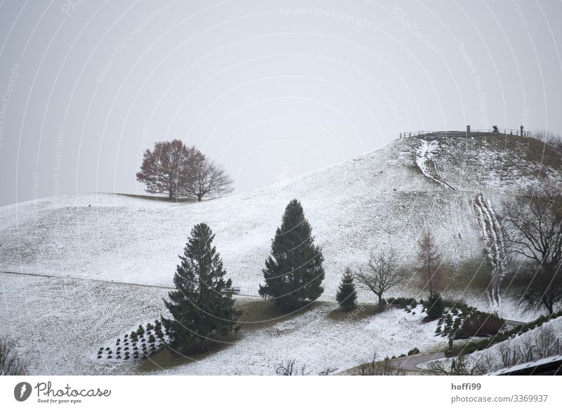 winterlich hügelige Parklandschaft mit Bäumen in exponierter Lage Landschaft Wolken Winter Wetter schlechtes Wetter Nebel Schnee Baum Hügel ästhetisch dunkel